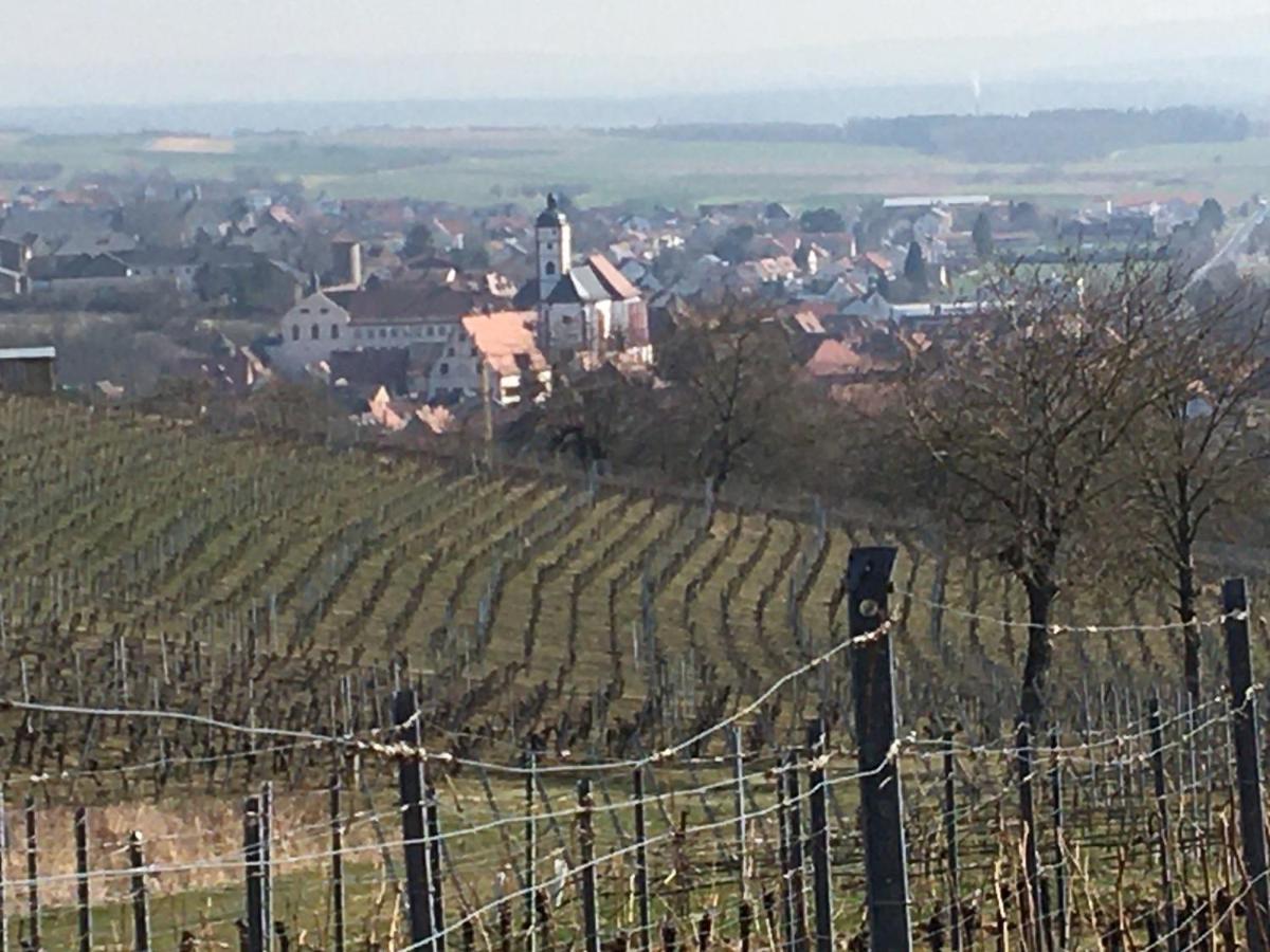 Haeuschen In Der Altstadt Dettelbach Exteriör bild